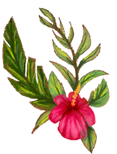 Tropical Flower